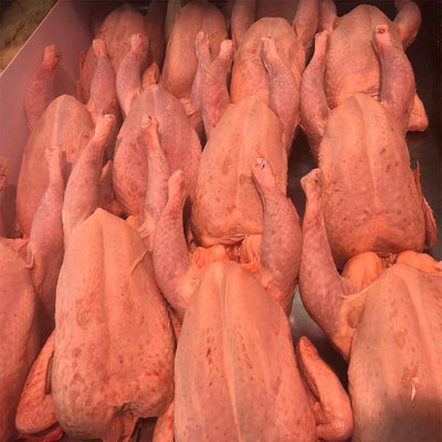 Whole Fresh Chicken